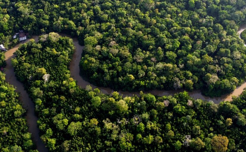 Eight Amazon rainforest countries begin first summit in 14 years