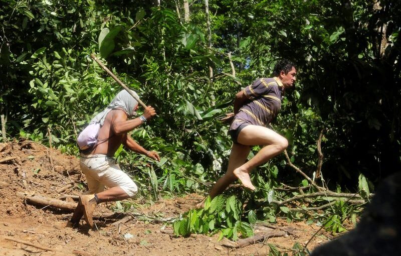 ‘Narco-deforestation’ in focus at upcoming summit of Amazon nations