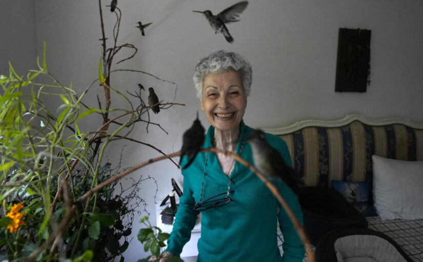 A woman in Mexico City heals hummingbirds, and gets healing in return