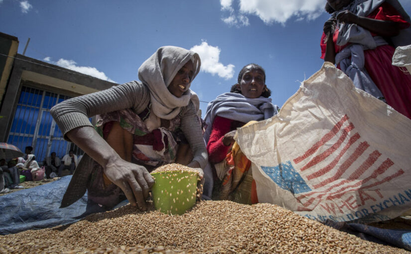 The World Food Program slowly resumes food aid to Ethiopia after months of suspension and criticism